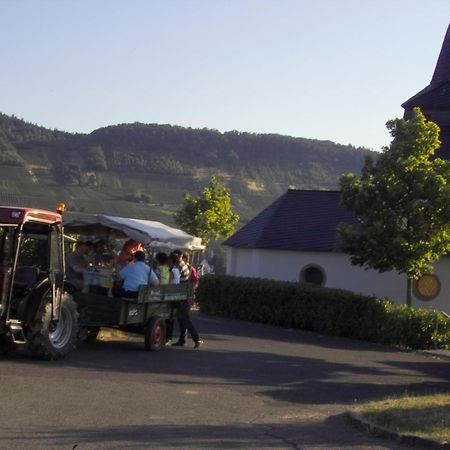 Gaestehaus Alexanderhof Leiwen Exteriör bild
