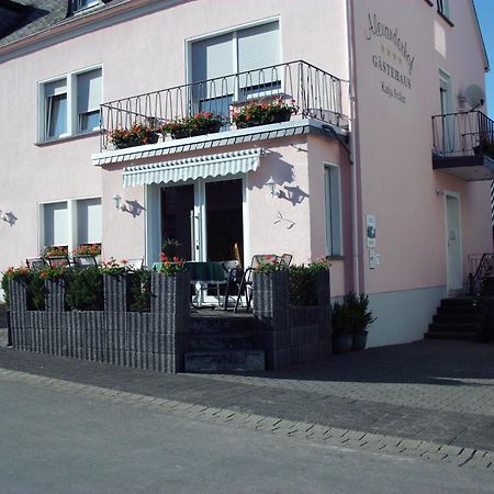 Gaestehaus Alexanderhof Leiwen Exteriör bild