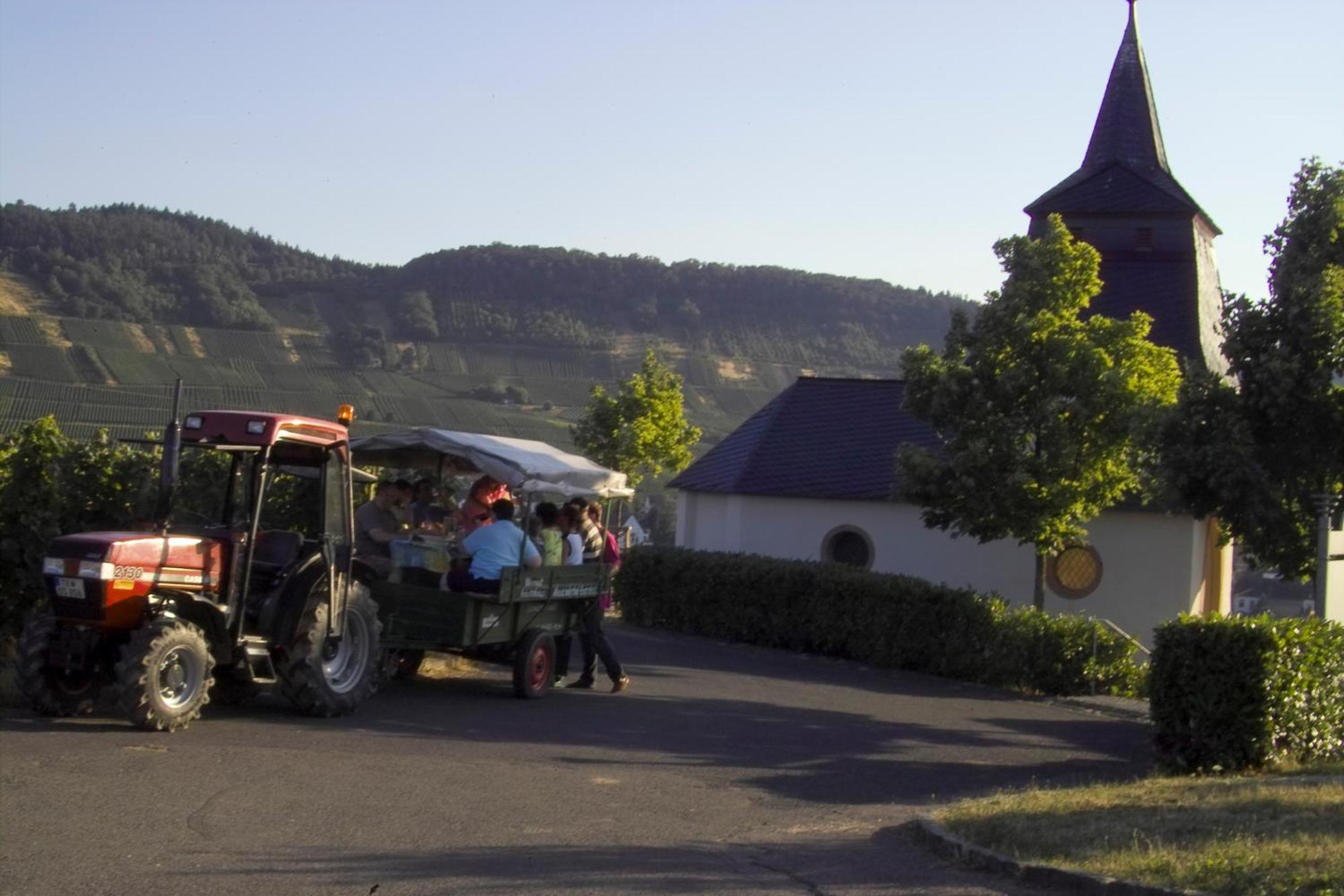 Gaestehaus Alexanderhof Leiwen Exteriör bild