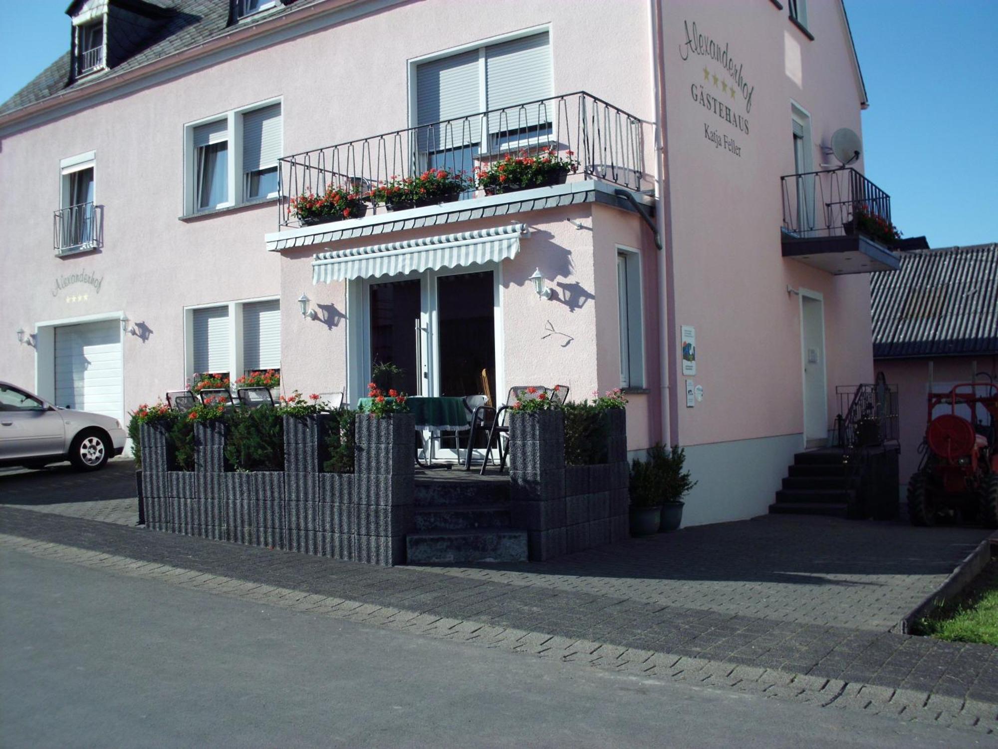 Gaestehaus Alexanderhof Leiwen Exteriör bild
