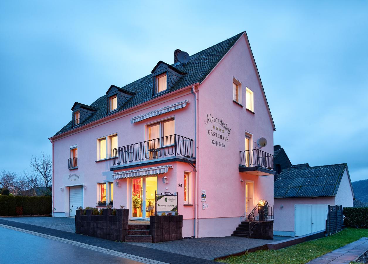 Gaestehaus Alexanderhof Leiwen Exteriör bild